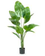 Die Kunstpflanze Strelitzia 150 cm real touch2 hat große, glänzend grüne Blätter mit einem realistischen „Paradiesvogel“-Aussehen und einem realistischen Finish, präsentiert vor einem schlichten weißen Hintergrund.