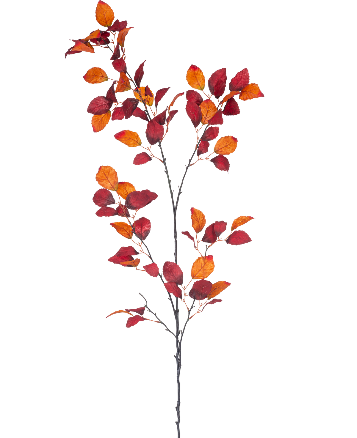 Der künstliche Zweig Rotbuche 156 cm ist ein einzelner Zweig mit mehreren Stielen, mit leuchtend roten und orangefarbenen Herbstblättern vor einem schlichten weißen Hintergrund.