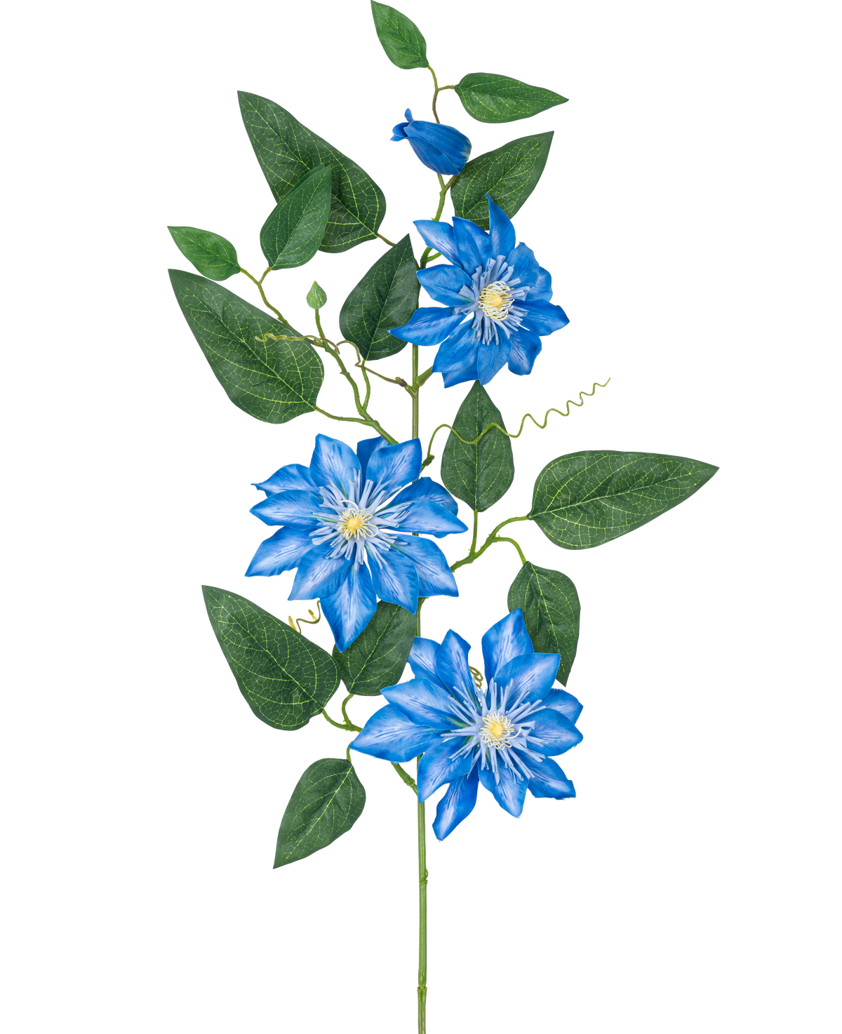Die Kunstblume Clematis groß 81 cm blau hat einen Stiel mit mehreren grünen Blättern und vier leuchtend blauen Clematisblüten, jeweils mit einem weißen Herzen und spitzen Blütenblättern, vor einem weißen Hintergrund.