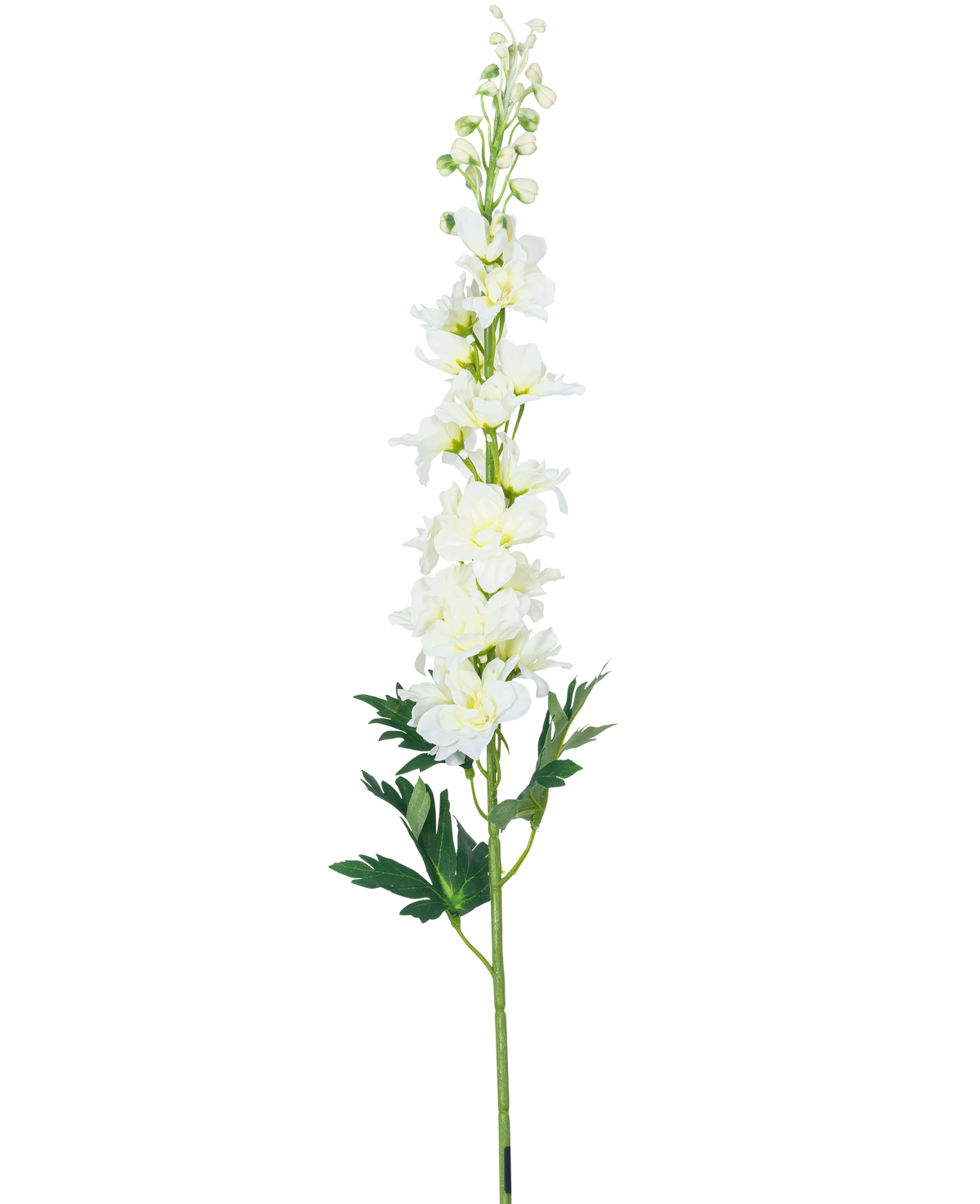 Die künstliche Blume Delphinium 79 cm weiß hat einen langen weißen Delphiniumstiel mit mehreren Blüten und grünen Blättern, isoliert auf einem weißen Hintergrund.