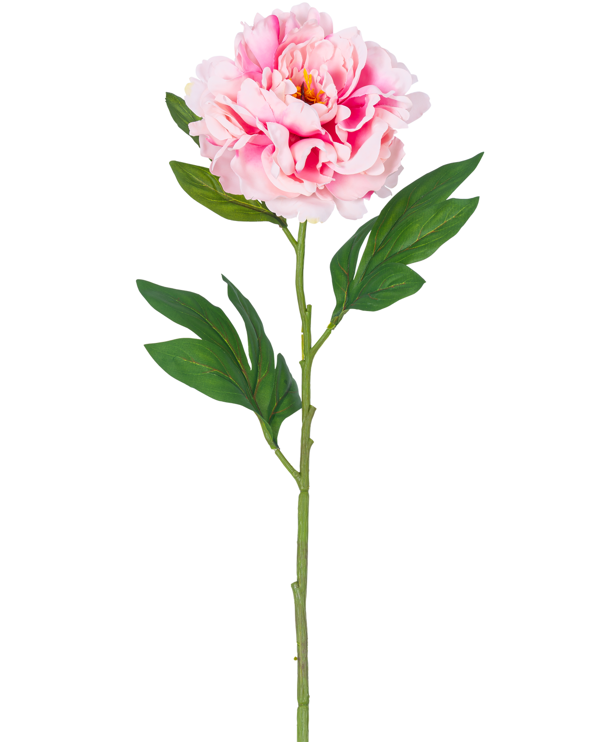 Eine einzelne künstliche Pfingstrose, 77 cm, hellrosa mit üppigen grünen Blättern vor einem schlichten weißen Hintergrund.