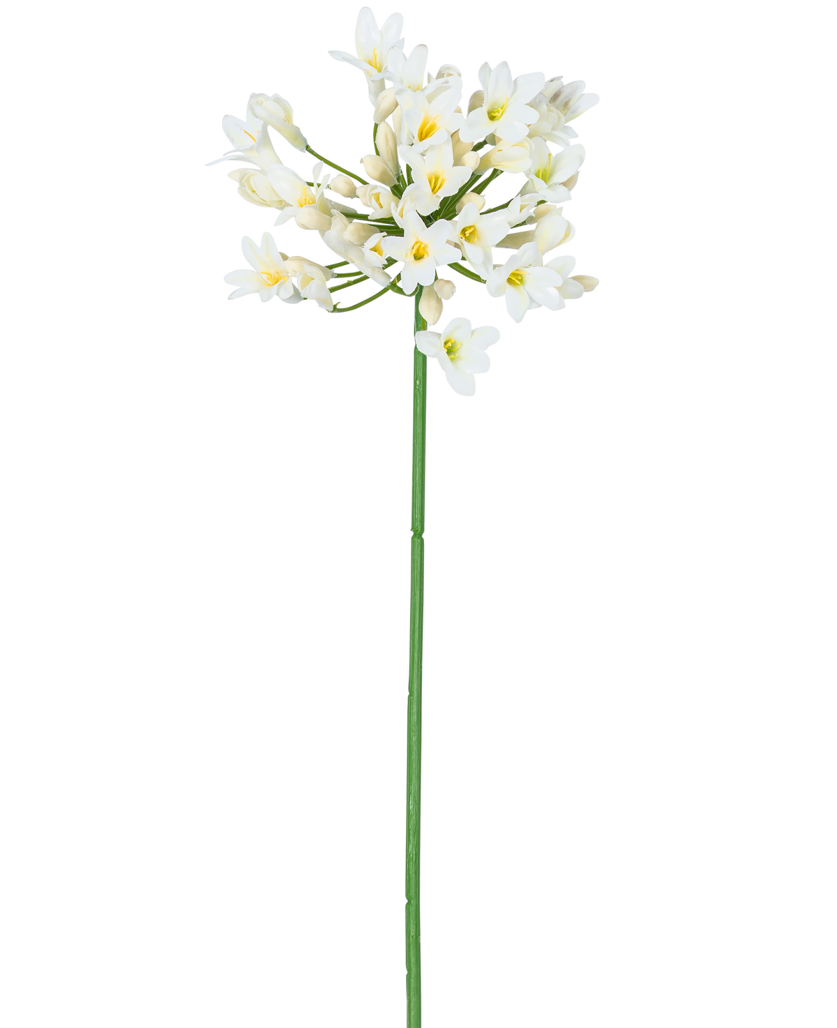 Die künstliche Blume Agapanthus 77 cm weiß hat einen einzelnen hohen grünen Stiel mit einem Strauß kleiner weißer Blüten mit gelbem Herzen vor einem schlichten weißen Hintergrund.