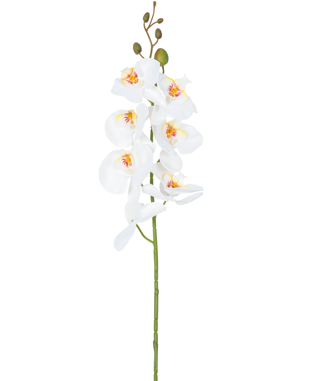 Die künstliche Blumenorchidee 84 cm weiß hat einen einzelnen Stiel aus weißen Orchideenblüten mit gelben und rosa Herzen und grünen Blütenknospen an der Spitze vor einem schlichten weißen Hintergrund.