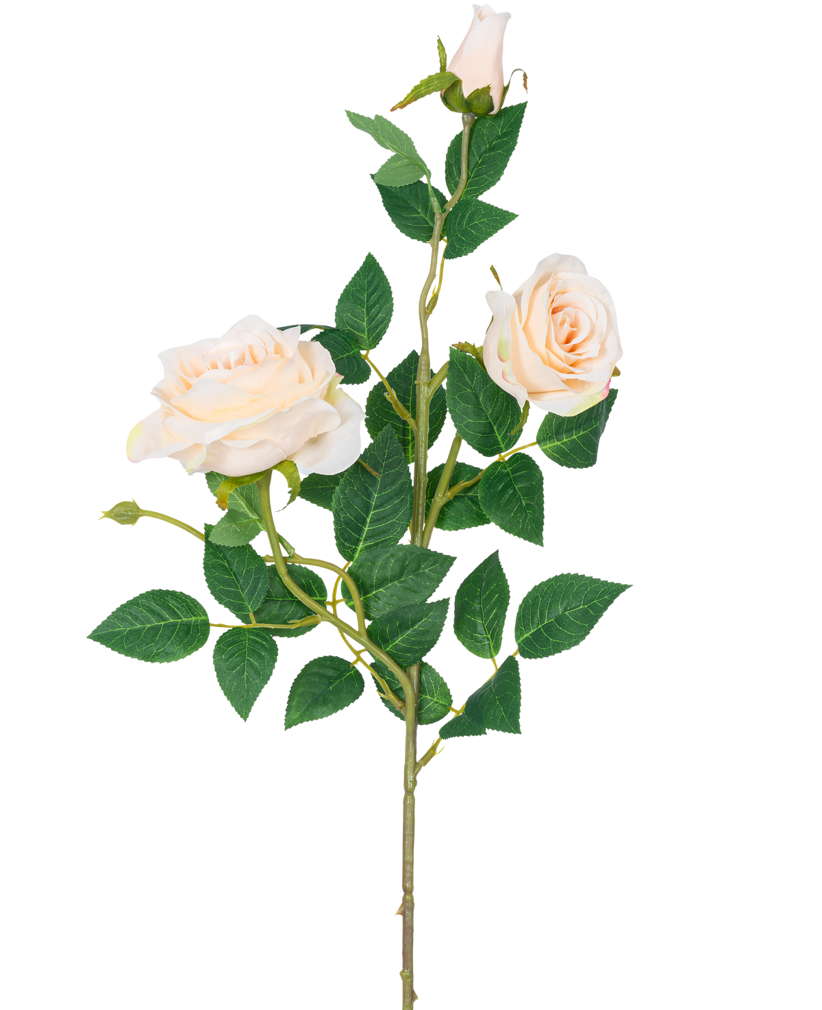 Die künstliche Rose Neo Deluxe 75 cm beige hat einen einzelnen Stiel mit zwei hellbeigen blühenden Rosen, einer Rosenknospe und mehreren grünen Blättern vor einem schlichten weißen Hintergrund.