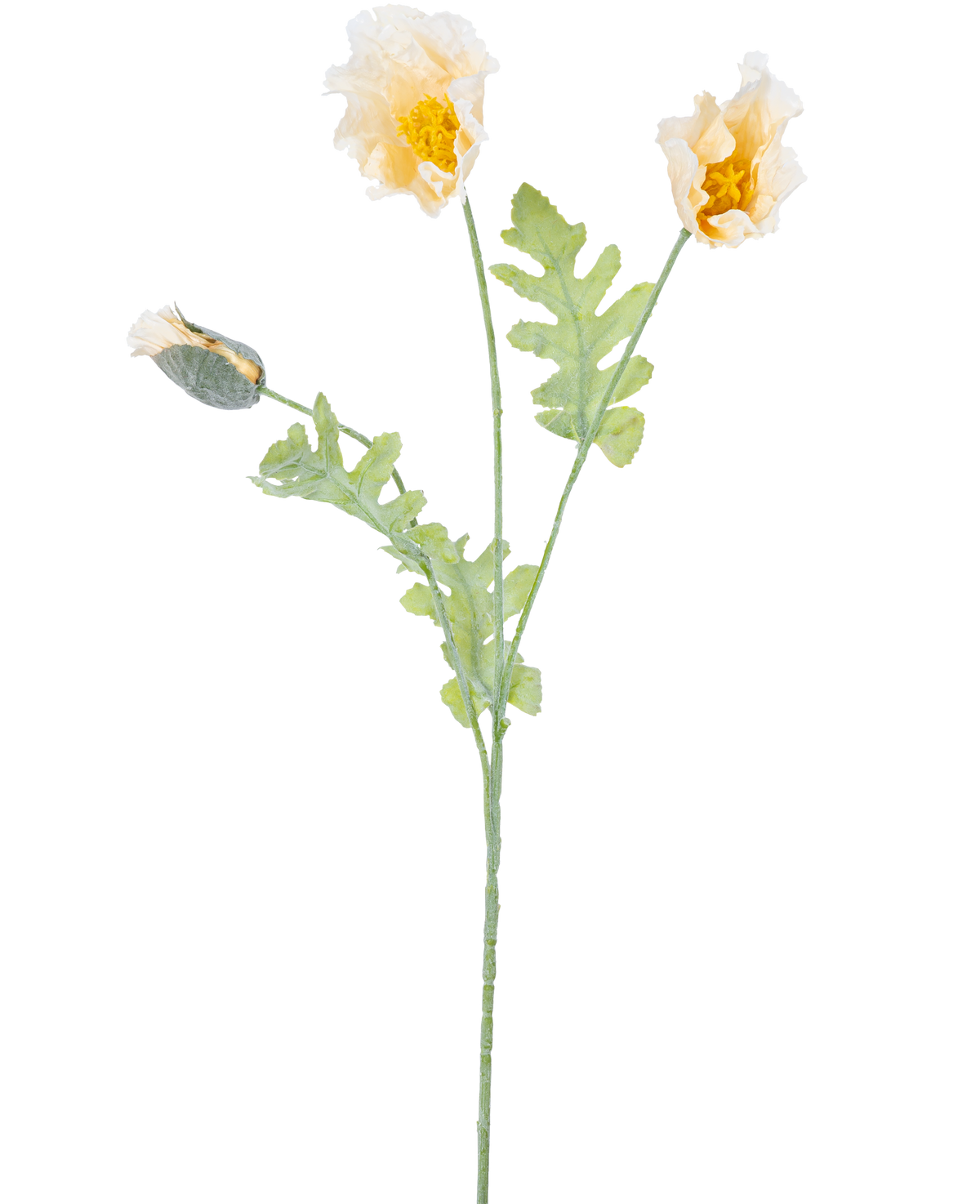 Eine zarte botanische Illustration einer künstlichen Mohnblume, 73 cm, cremefarben, mit zwei offenen gelben Blüten und einer geschlossenen Knospe auf grünen Stielen mit gezackten Blättern, vor einem weißen Hintergrund.