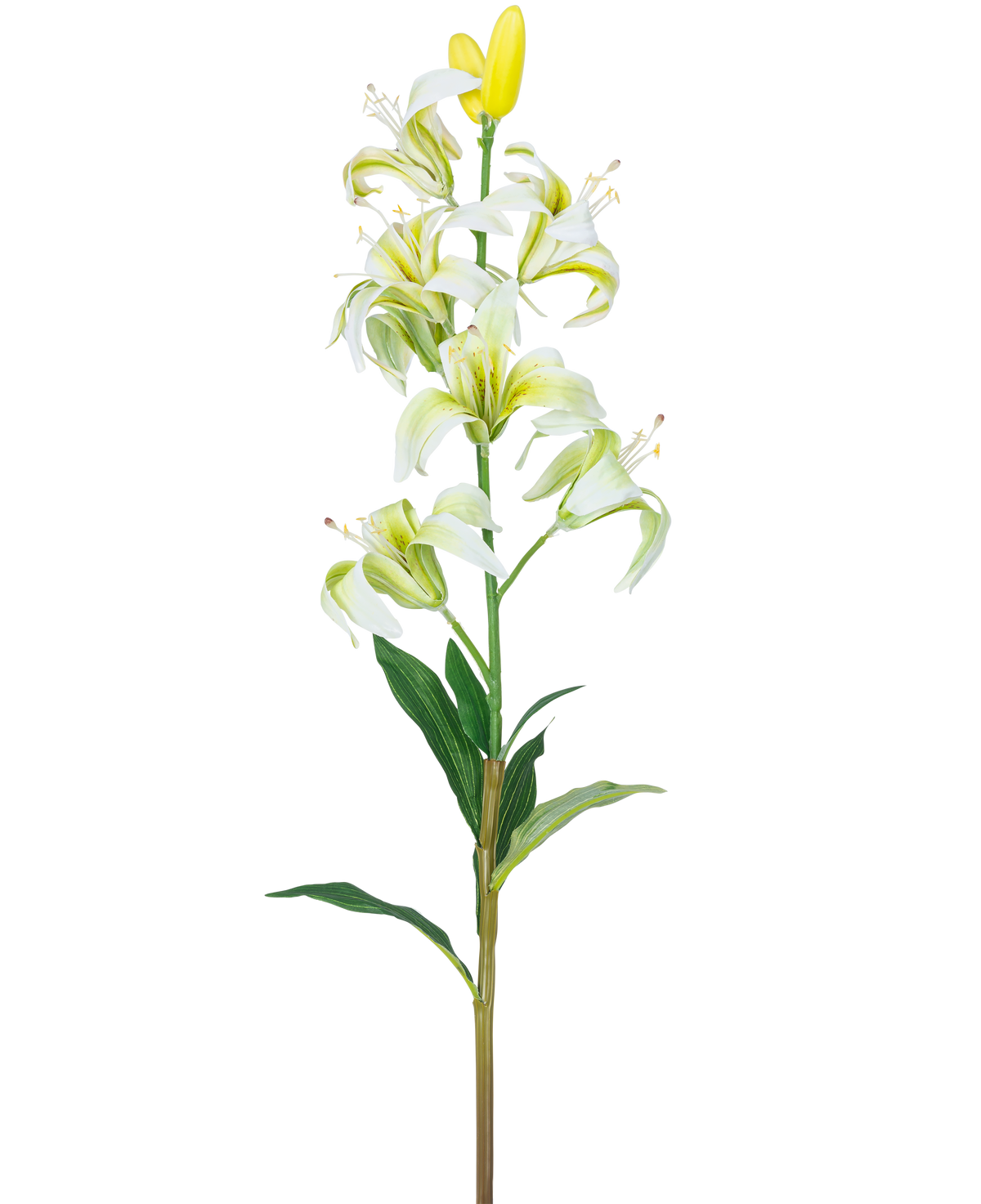 Die künstliche Blumen-Martagon-Lilie 78 cm weiß hat einen langen Stiel mit mehreren weißen Lilienblüten und -knospen, einem gelben Herzen und grünen Blättern, isoliert auf weißem Hintergrund.