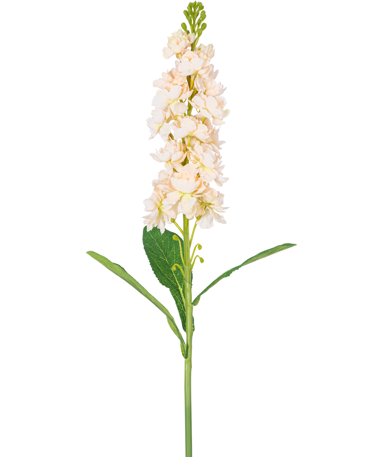 Eine einzelne cremefarbene Kunstblume Violier 78 cm hat mehrere hellcremefarbene Blüten und grüne Blätter vor einem schlichten weißen Hintergrund.