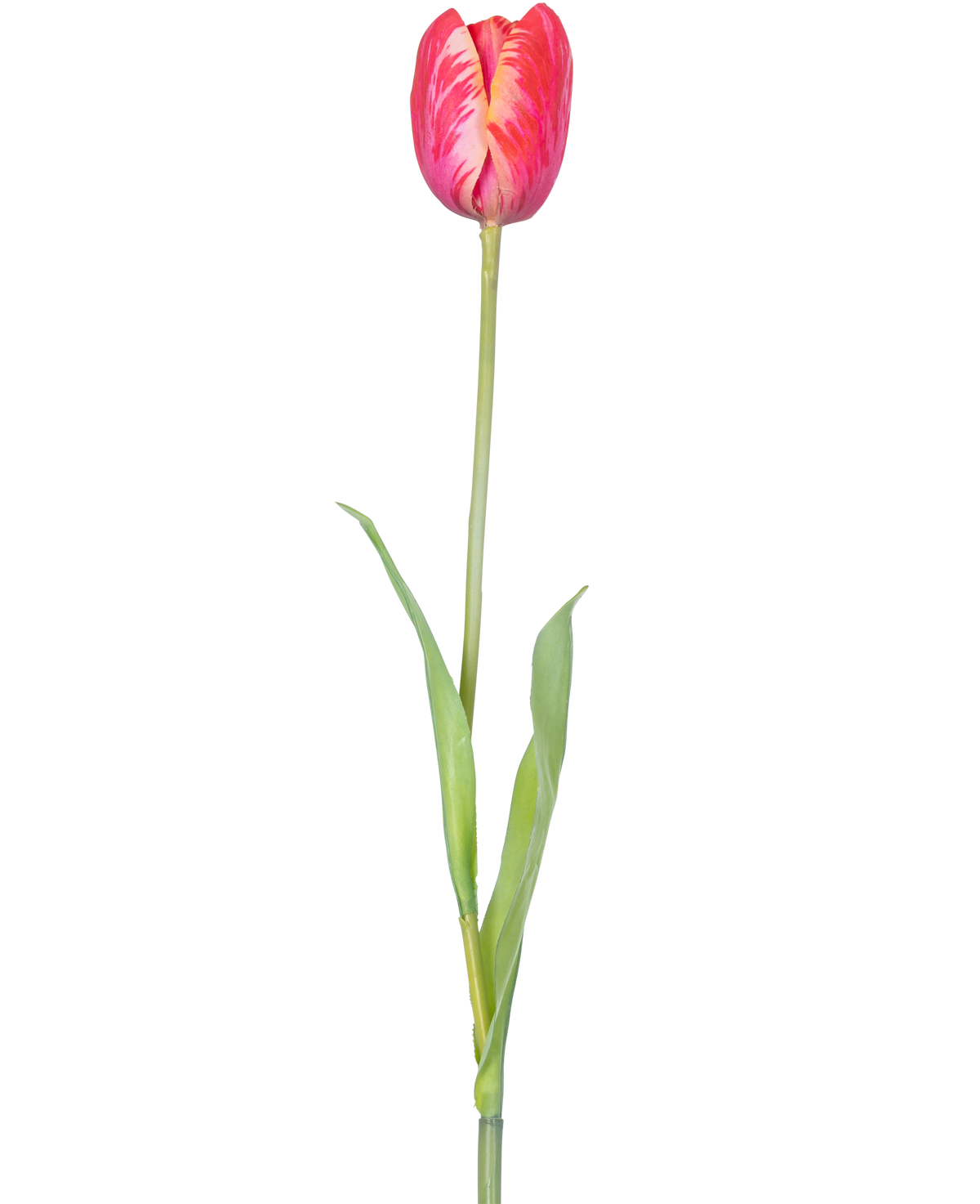 Eine einzelne künstliche französische Tulpe, 60 cm, rot, mit leuchtend roten Blütenblättern und grünen Blättern an einem Stiel, vor einem weißen Hintergrund.