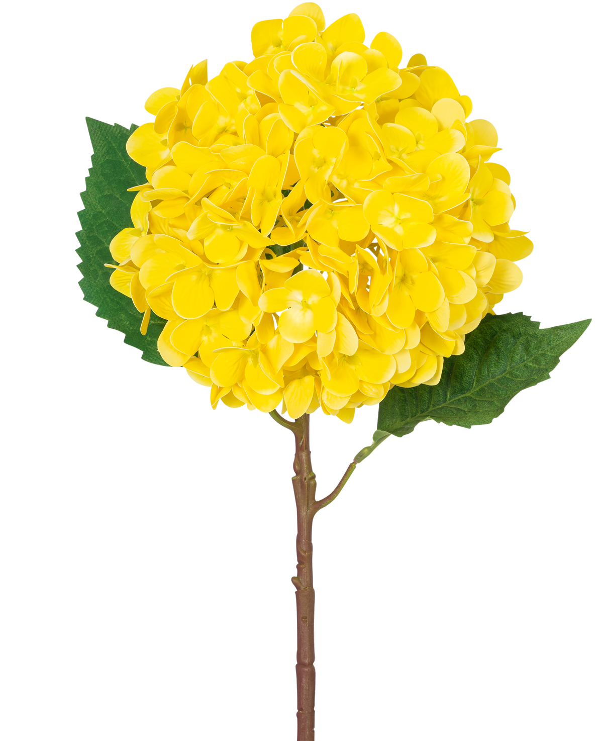 Die künstliche Blumenhortensie Real Touch gelb 58 cm besteht aus einer einzelnen gelben Hortensie mit geschichteten Blütenblättern, zwei großen grünen Blättern und einem braunen Stiel vor einem schlichten weißen Hintergrund.