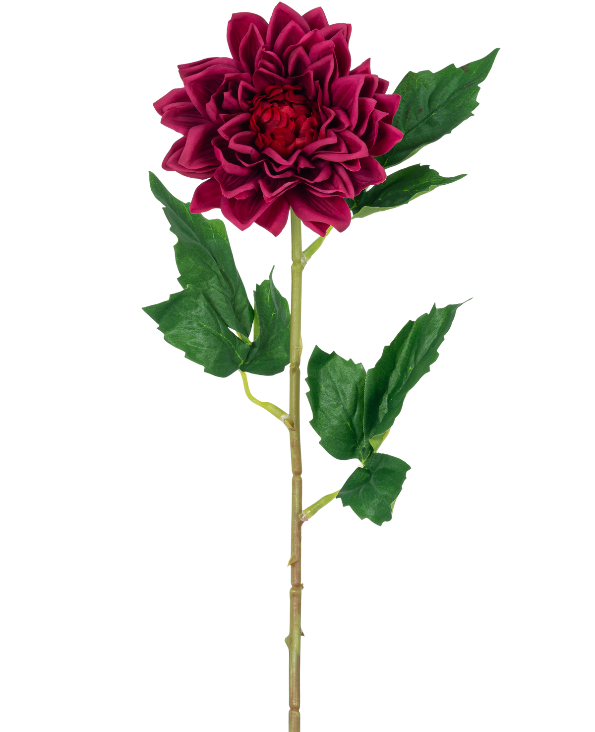 Die künstliche Blumen-Dahlie Real Touch dunkelrot 54 cm hat eine einzelne tiefrote Dahlienblüte mit grünen Blättern an einem Stiel, isoliert vor einem weißen Hintergrund.
