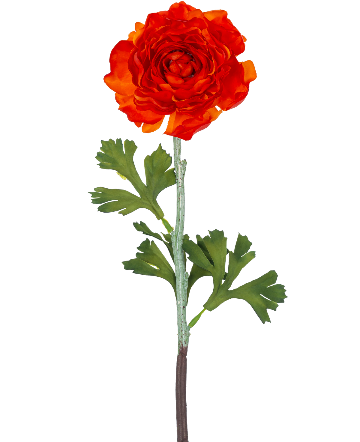 Die künstliche Ranunkelblume 51 cm dunkelorange hat eine leuchtend dunkelorangefarbene künstliche Ranunkelblume mit geschichteten Blütenblättern und grünen, gelappten Blättern an einem langen Stiel vor einem schlichten weißen Hintergrund.