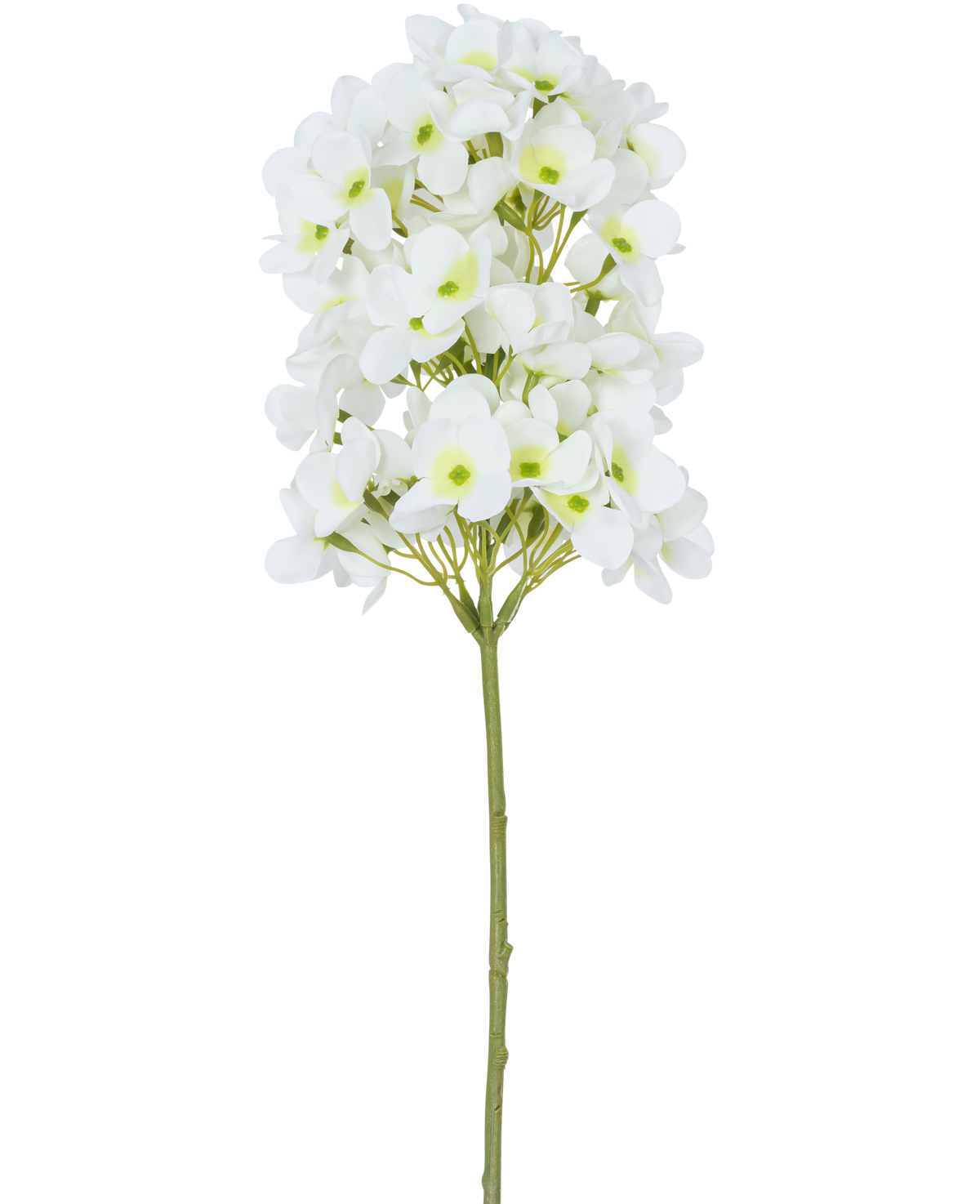 Der künstliche Blumen-Schneeball Real Touch White 58 cm hat einen einzelnen Stiel mit Büscheln kleiner weißer Blüten und hellgrünen Herzen vor einem schlichten weißen Hintergrund.