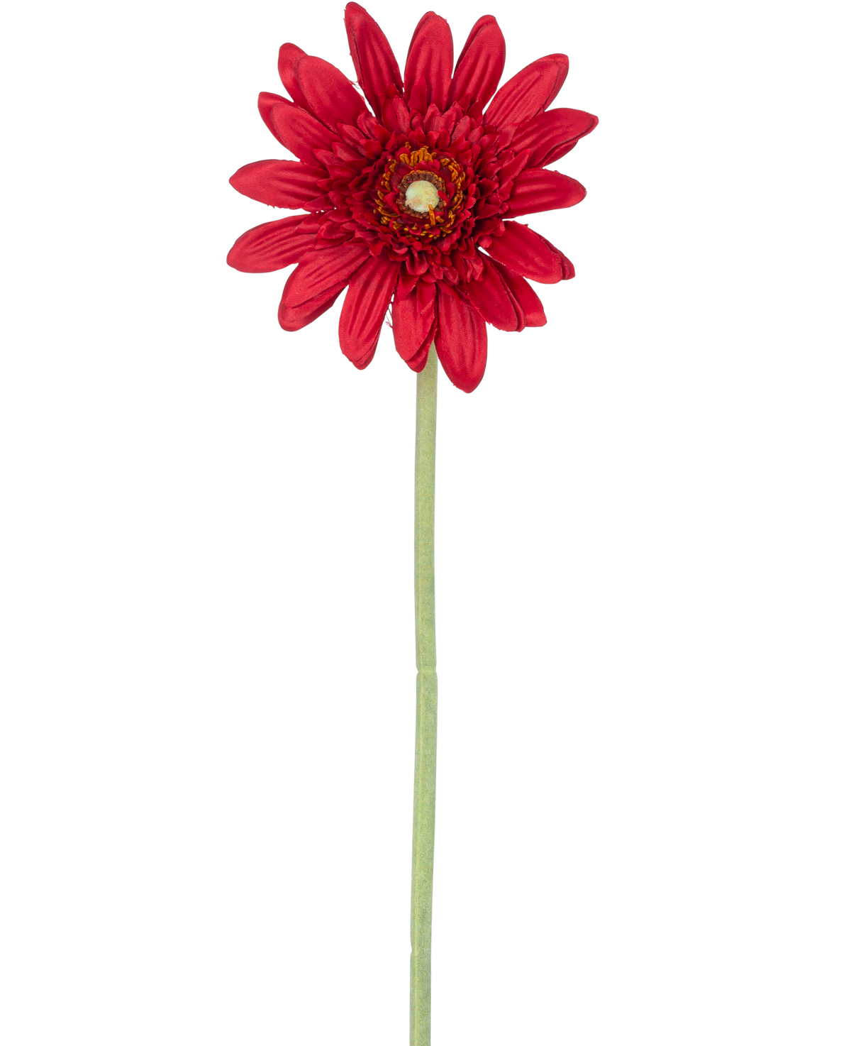Die künstliche Blumen-Gerbera 53 cm rot besteht aus einer einzelnen roten Gerbera mit geschichteten Blütenblättern und einem gelben Herzen auf einem langen grünen Stiel vor einem schlichten weißen Hintergrund.