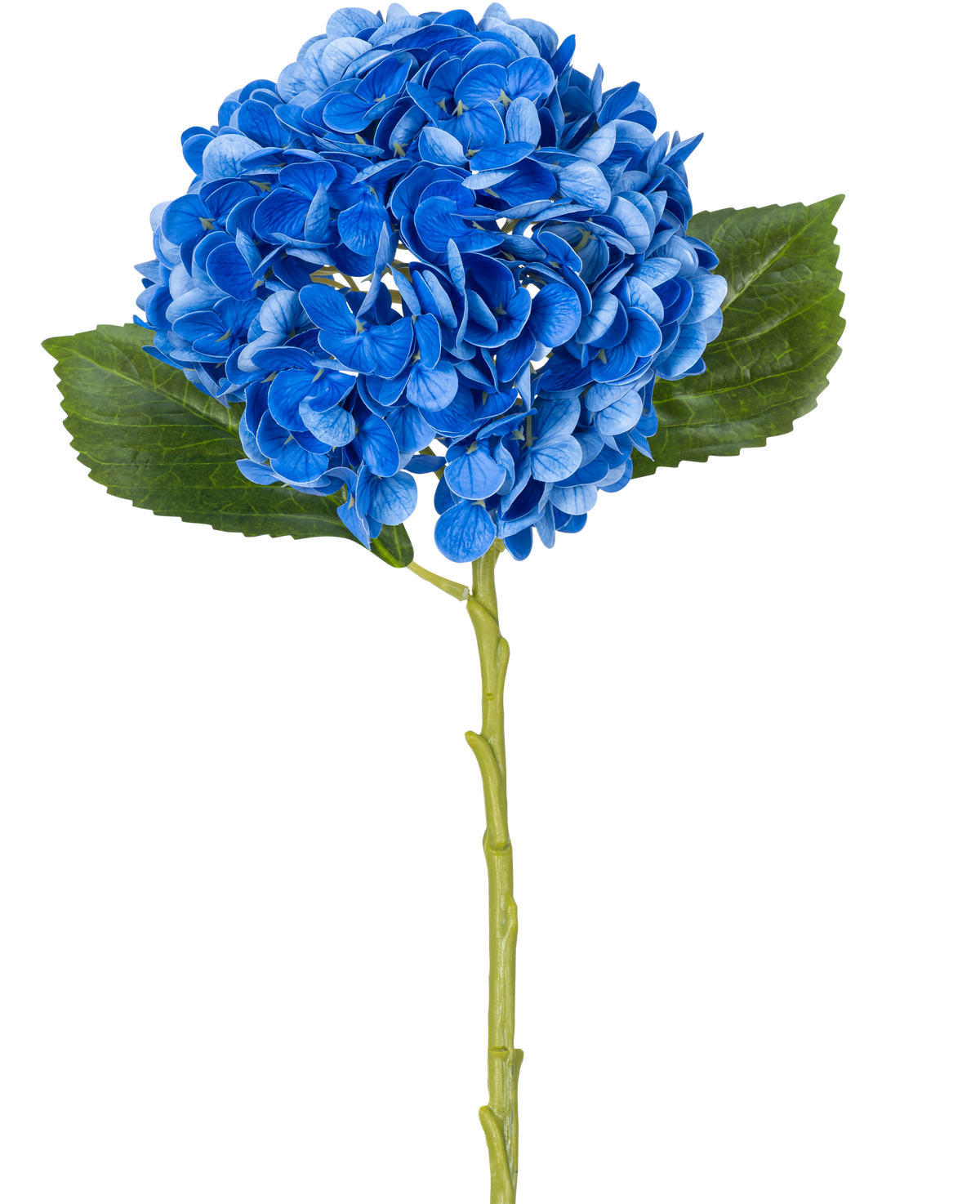 Die Kunstblume Charlotte Hydrangea Real Touch Blue 49 cm ist eine einzelne blaue Hortensie mit grünen Blättern und einem langen Stiel, dargestellt vor einem weißen Hintergrund.