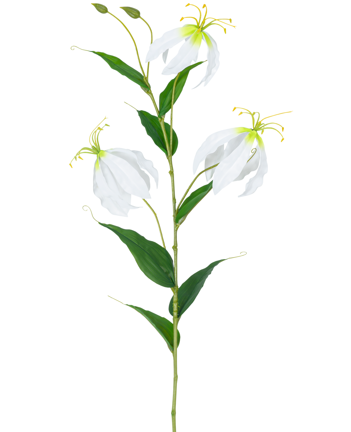 Die künstliche Blume Gloriosa Real Touch White 75 cm hat einen einzelnen grünen Stiel mit drei offenen weißen Gloriosa-Blüten, zwei Knospen, langen gelben Staubgefäßen und länglichen grünen Blättern vor einem schlichten weißen Hintergrund.