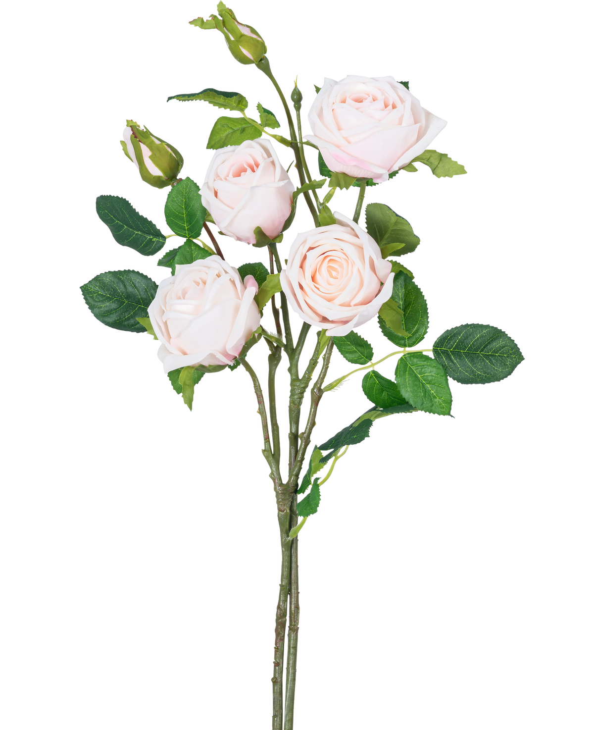 Der künstliche Rosenzweig Double Real Touch hellrosa 80 cm hat einen Stiel mit drei voll erblühten hellrosa Rosen, zwei Rosenknospen und mehreren grünen Blättern vor einem weißen Hintergrund.