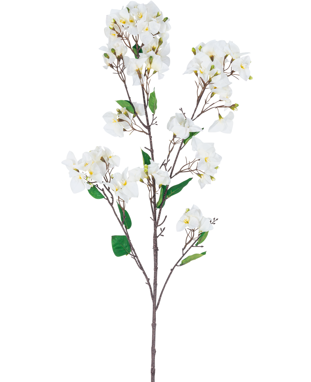 Die künstliche Blume Bougainvillea 120 cm weiß ist ein künstlicher Blütenstiel mit mehreren braunen Zweigen, grünen Blättern und weißen Blütensträußen mit gelber Mitte, dargestellt vor einem weißen Hintergrund.