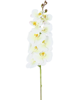 Ein einzelnes Muster der künstlichen Orchidee Real Touch Deluxe 105 cm weiß/gelb mit mehreren Blüten und Knospen, wunderschön präsentiert vor einem schlichten weißen Hintergrund.