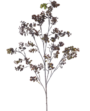 Der künstliche Zweig Eukalyptusbeere 110 cm braun hat einen hohen Zweig mit mehreren dünnen Stielen, kleinen runden Blättern und Büscheln grünbrauner Beeren vor einem schlichten weißen Hintergrund.