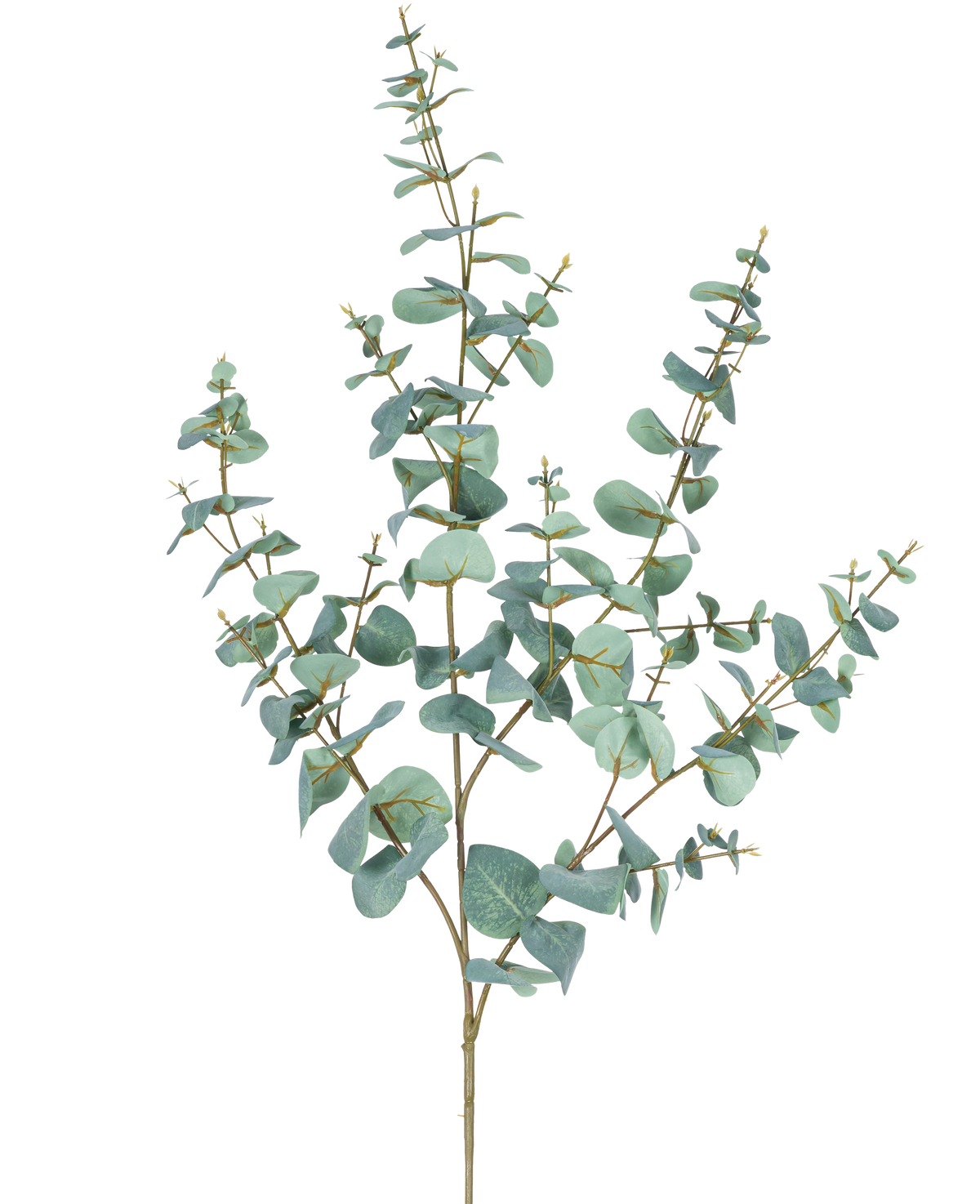 Der künstliche Eukalyptus 120 cm hat mehrere dünne Stiele und runde, blaugrüne Blätter auf einem schlichten weißen Hintergrund.