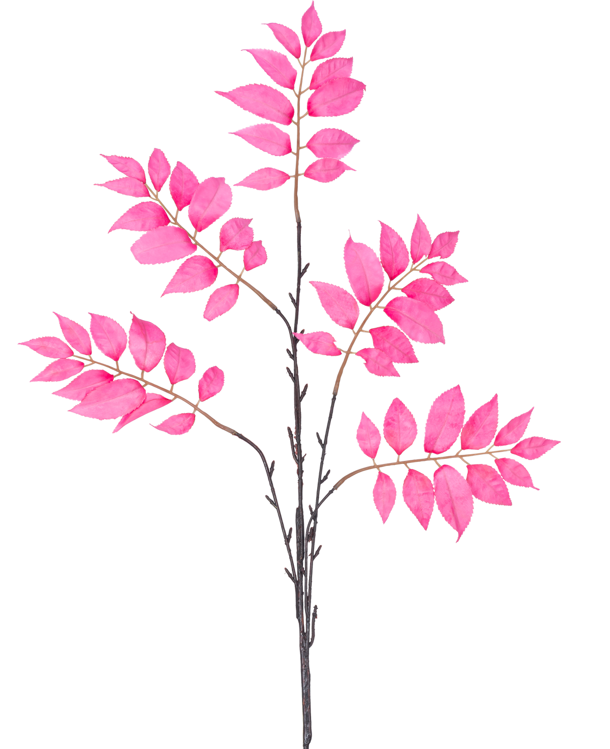 Der künstliche Zweigfarn verzweigt 83 cm rosa hat einen einzelnen dunkelbraunen Stiel, der sich in mehrere kleinere Stiele verzweigt, die jeweils mit Büscheln leuchtend rosa Blätter auf weißem Hintergrund verziert sind.