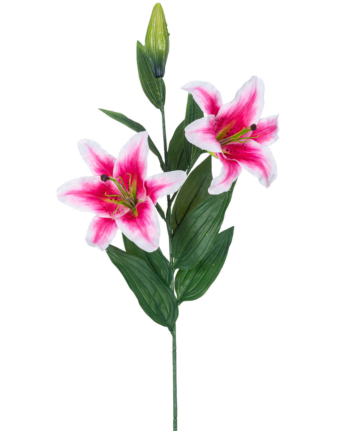 Die künstliche Blumenlilie 85 cm rosa hat zwei blühende rosa und weiße Lilien, eine geschlossene Knospe und eine Reihe langer grüner Blätter, wunderschön vor einem weißen Hintergrund.