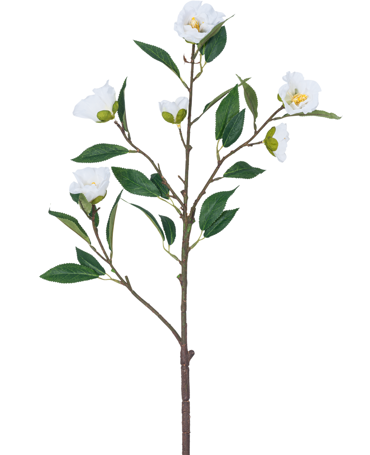 Die künstliche Blumenkamelie 80 cm weiß hat einen einzelnen Zweig mit mehreren grünen Blättern und mehreren blühenden weißen Blüten vor einem schlichten weißen Hintergrund.