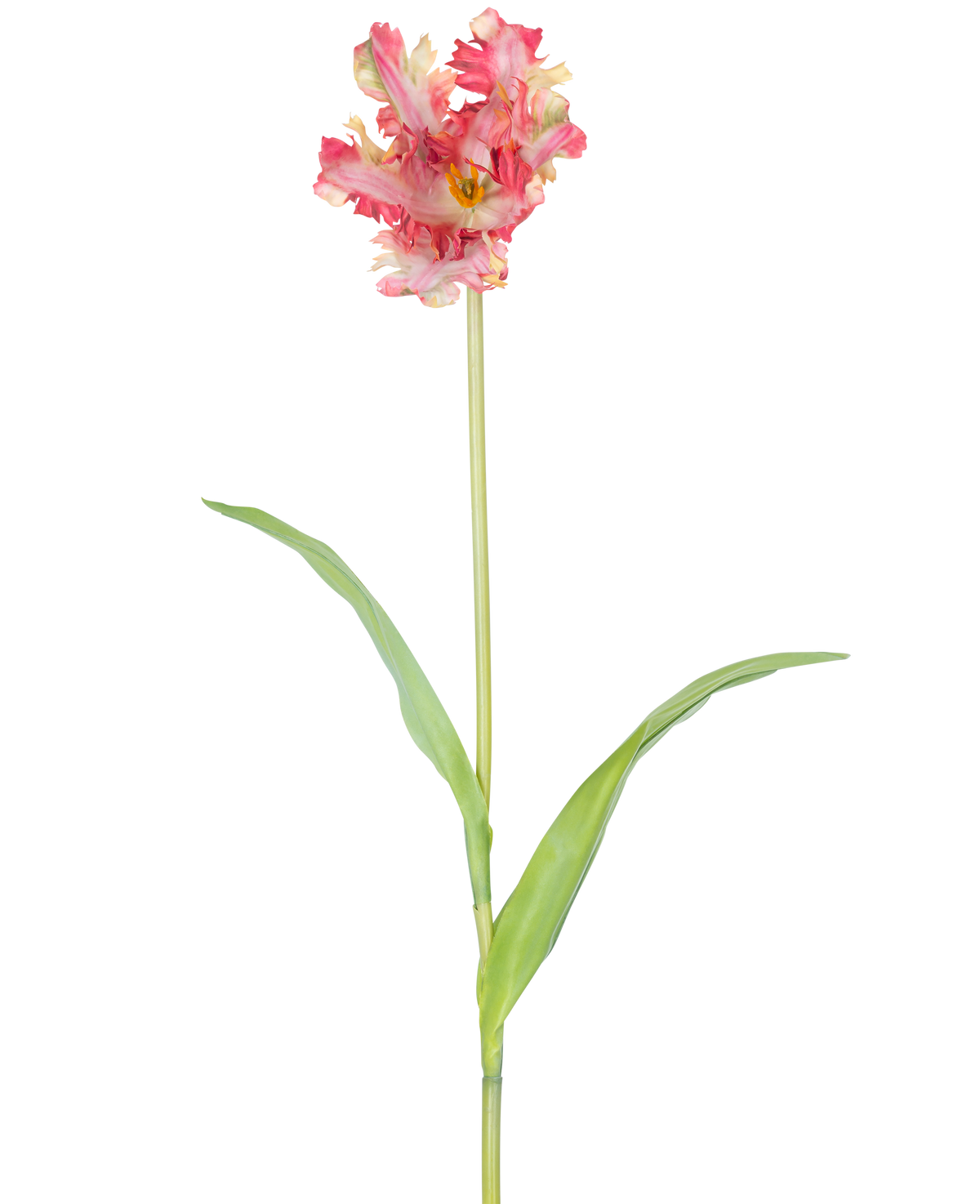 Eine künstliche französische Sittich-Tulpe, 76 cm, in Rot/Gelb mit Rüschen auf den Blütenblättern, einem langen grünen Stiel und zwei länglichen grünen Blättern, vor einem weißen Hintergrund.