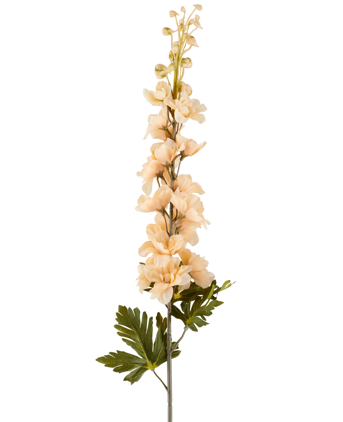 Ein einzelner Stiel einer künstlichen Delphinium-Blume, 79 cm, creme/braun, mit mehreren cremefarbenen und braunen Blüten und grünen Blättern, dargestellt vor einem weißen Hintergrund.