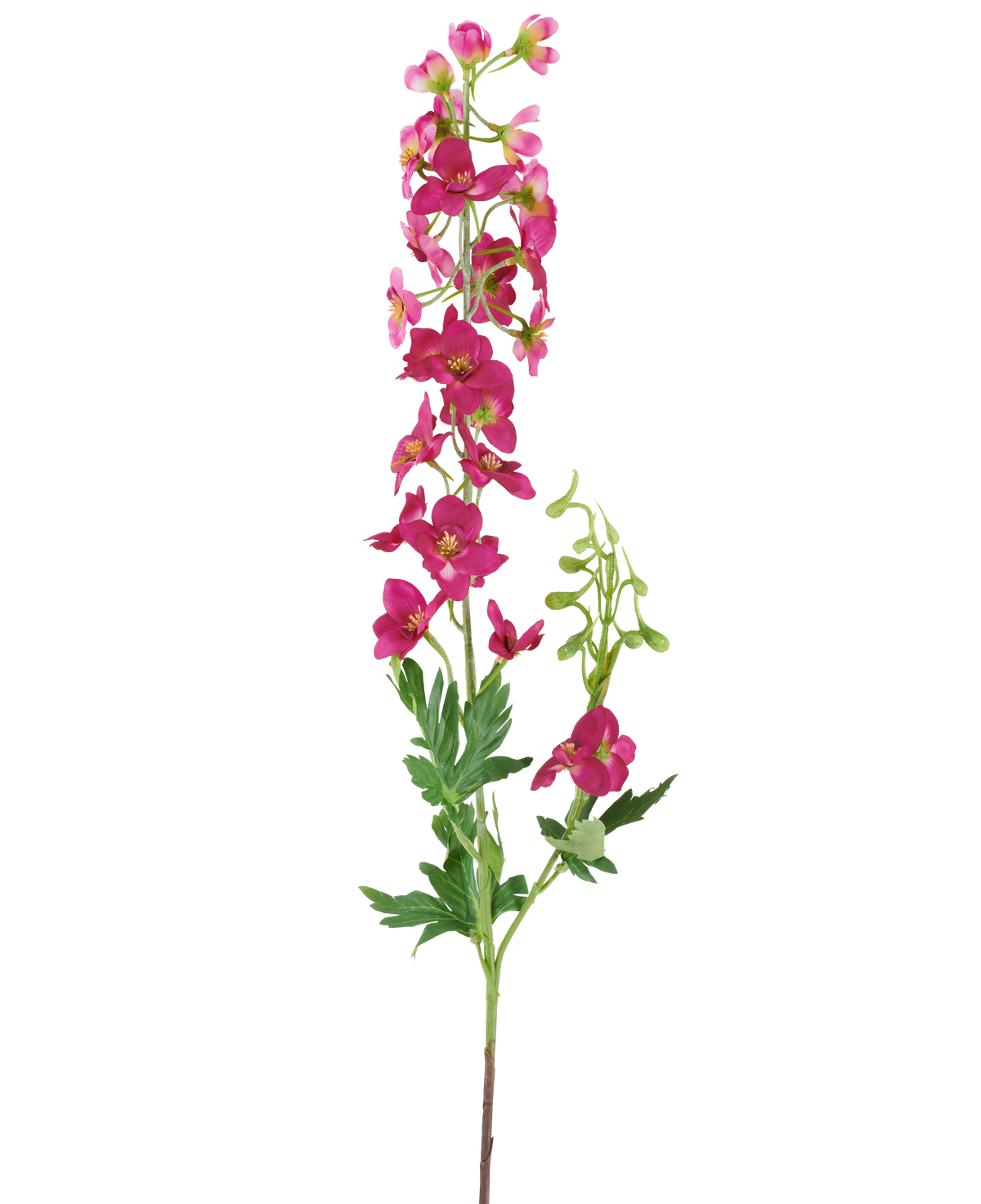 Ein einzelner Stiel der künstlichen Blume Delphinium 79 cm dunkelrosa, mit leuchtend rosa künstlichen Blüten, grünen Blättern und Knospen, isoliert vor einem weißen Hintergrund.