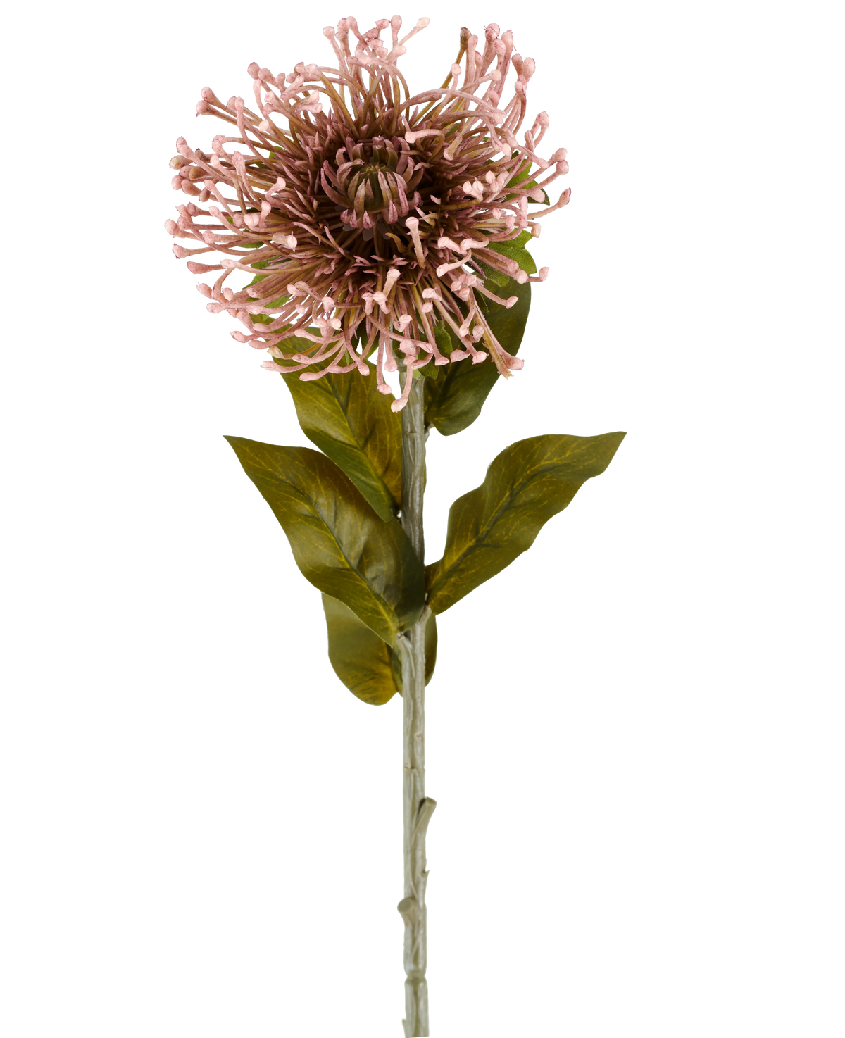 Die künstliche Blume Protea 65 cm lila ist eine einzelne künstliche Blume in Form einer Protea mit einem runden Cluster aus malvenfarbenen, spitzen Blütenblättern, grünen Blättern und einem langen Stiel, dargestellt vor einem schlichten weißen Hintergrund.