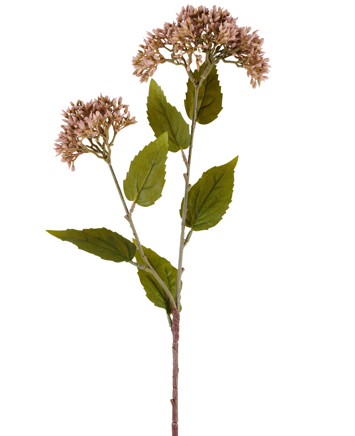Ein einzelner Stiel der Kunstblume Sedum 67 cm lila hat zwei Büschel kleiner, helllila Blüten und zahlreiche grüne Blätter vor einem weißen Hintergrund.