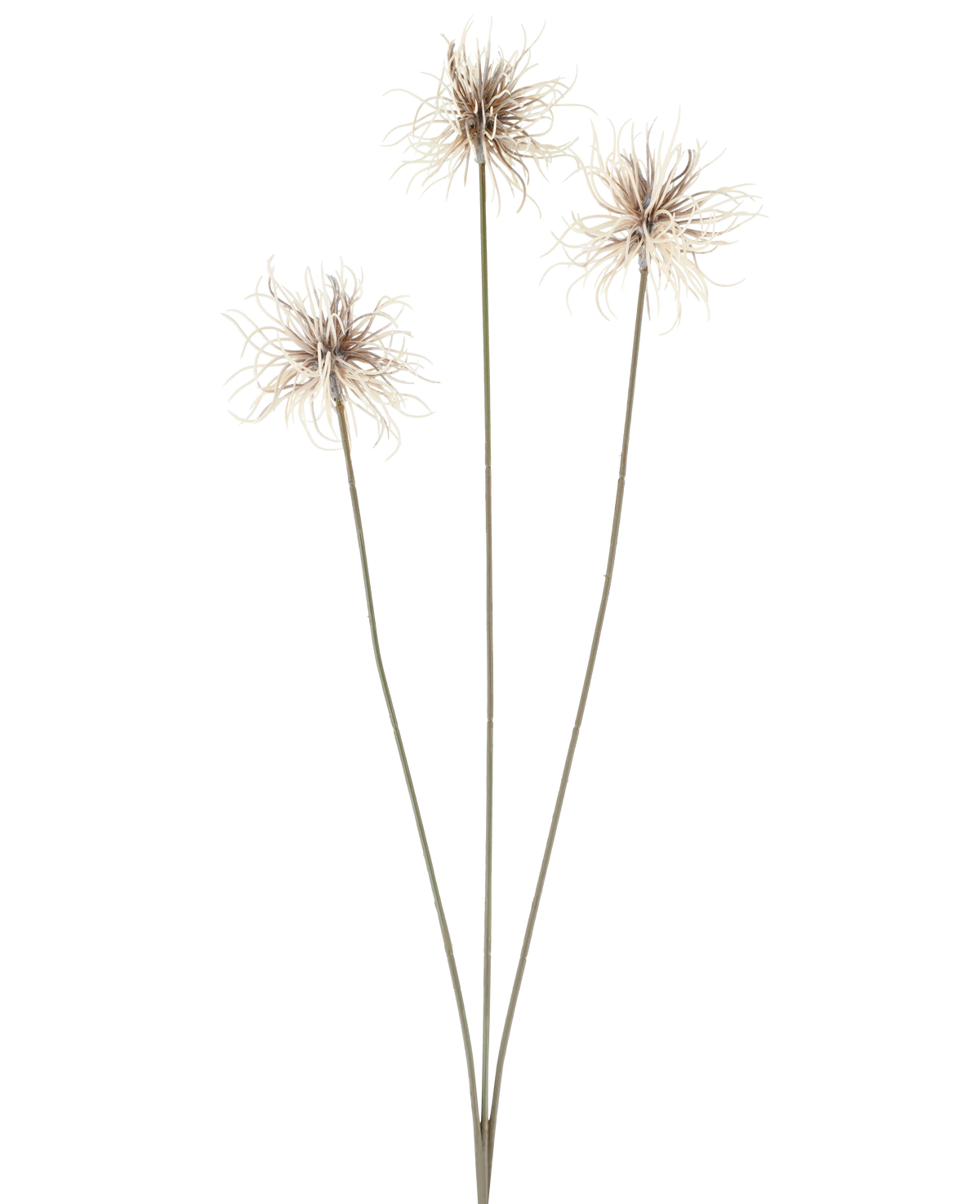 Drei künstliche Blumen der Gattung Xanthium in Creme und Braun, jeweils mit dünnen, langen Stielen von 64 cm, fächerförmig angeordnet vor einem schlichten weißen Hintergrund.