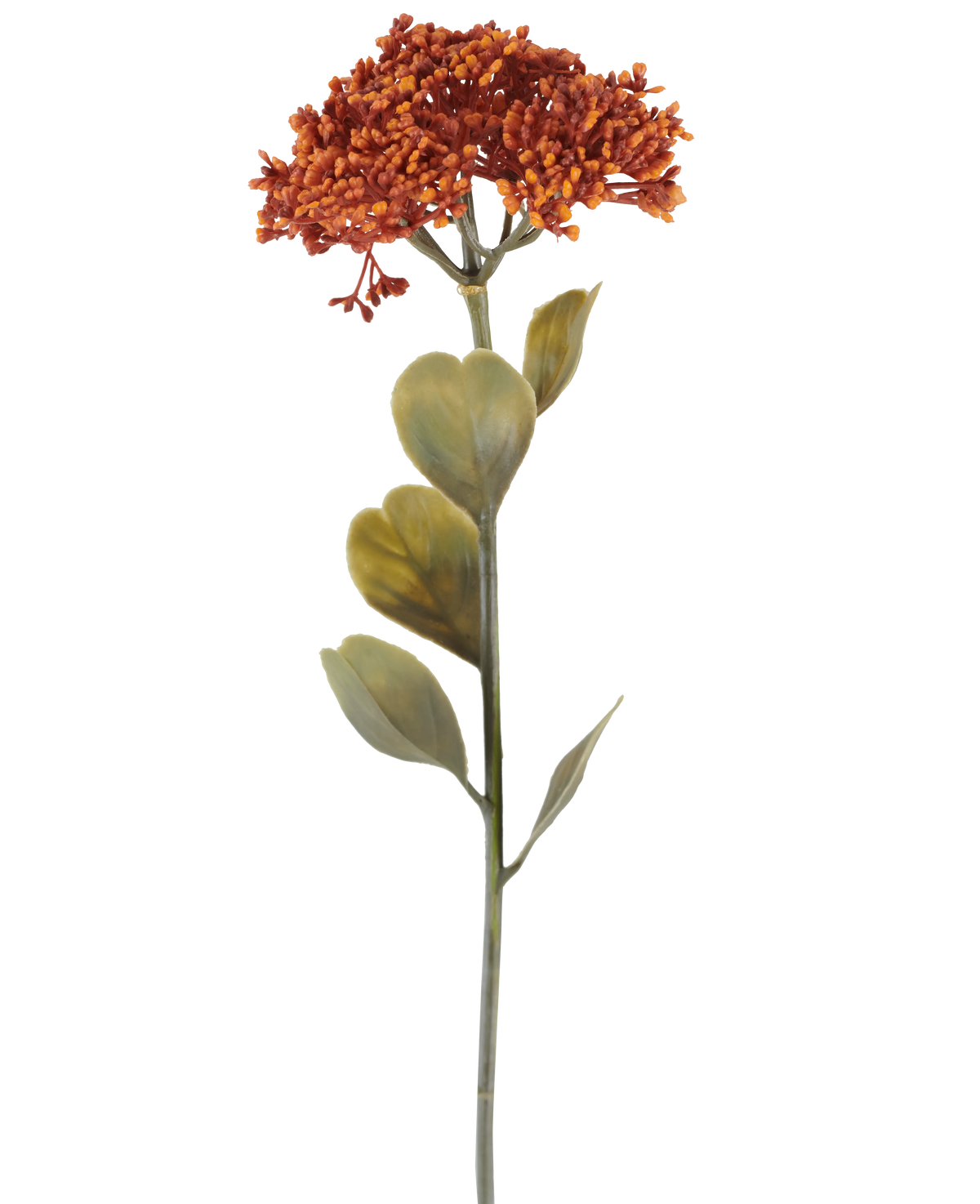 Eine einzelne künstliche Sedum-Blume von 46 cm in verwittertem Orange, mit Büscheln kleiner rot-orangefarbener Blüten und einigen grünen Blättern, dargestellt auf einem weißen Hintergrund.