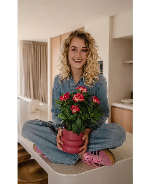 Eine lächelnde Frau mit lockigen blonden Haaren sitzt mit gekreuzten Beinen auf einer Küchentheke und hält eine 39 cm große künstliche Gardenia-UV-Pflanze in Fuchsia. Sie trägt ein Jeansoutfit und rosa Turnschuhe.