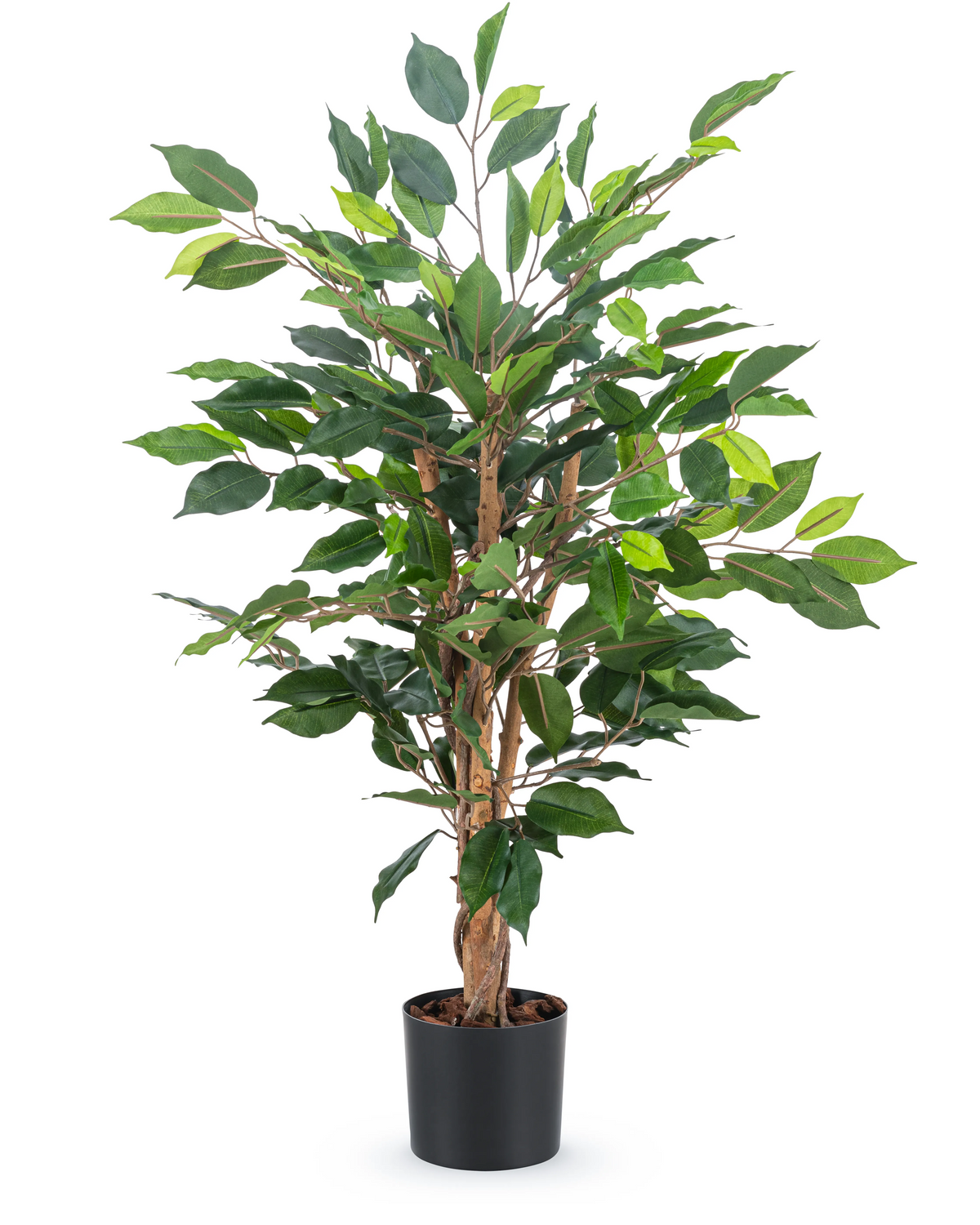 Die Kunstpflanze Ficus Green 90 cm hat mehrere braune Stängel und sattgrüne Blätter in einem schlichten schwarzen Topf – ideal als stilvolle Büropflanze.