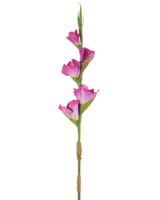 Ein einzelner Stiel der Kunstblume Gladiolus 83 cm Fuchsia hat vier leuchtend rosa Blüten auf einem grünen Stiel vor einem schlichten weißen Hintergrund.