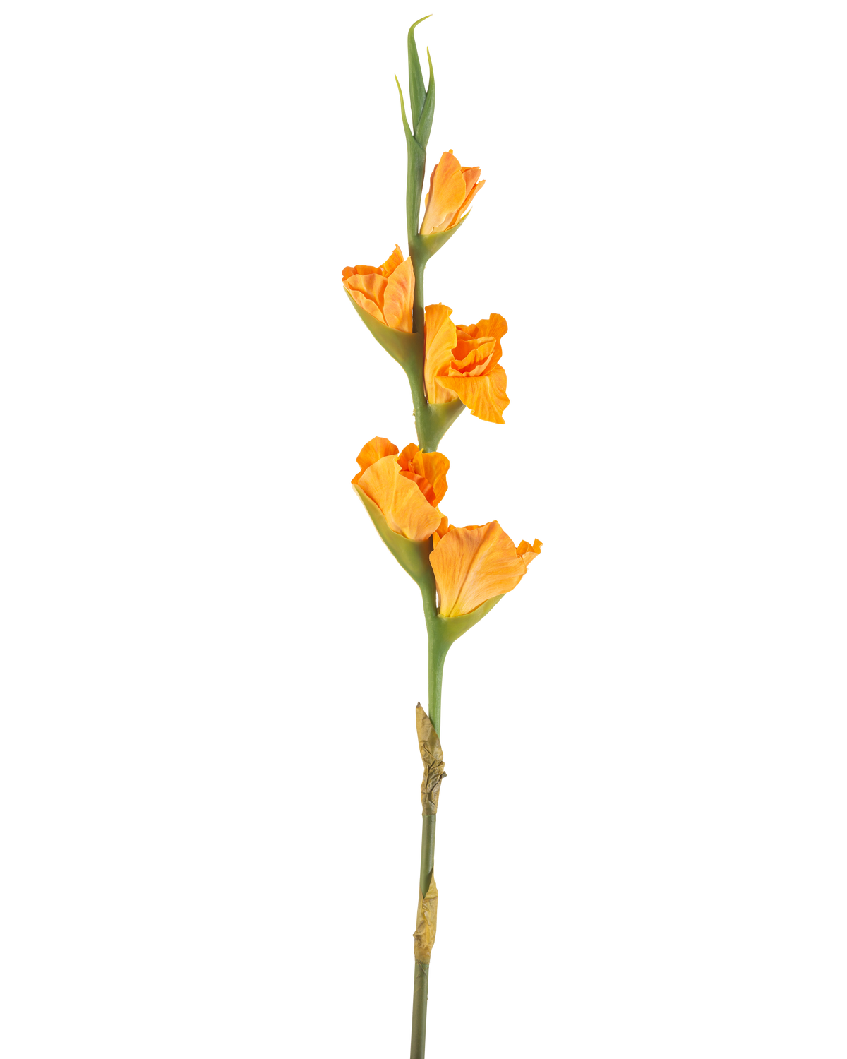 Die Kunstblume Gladiole 83 cm orange hat einen langen grünen Stiel mit mehreren orangefarbenen Gladiolenblüten auf weißem Hintergrund.