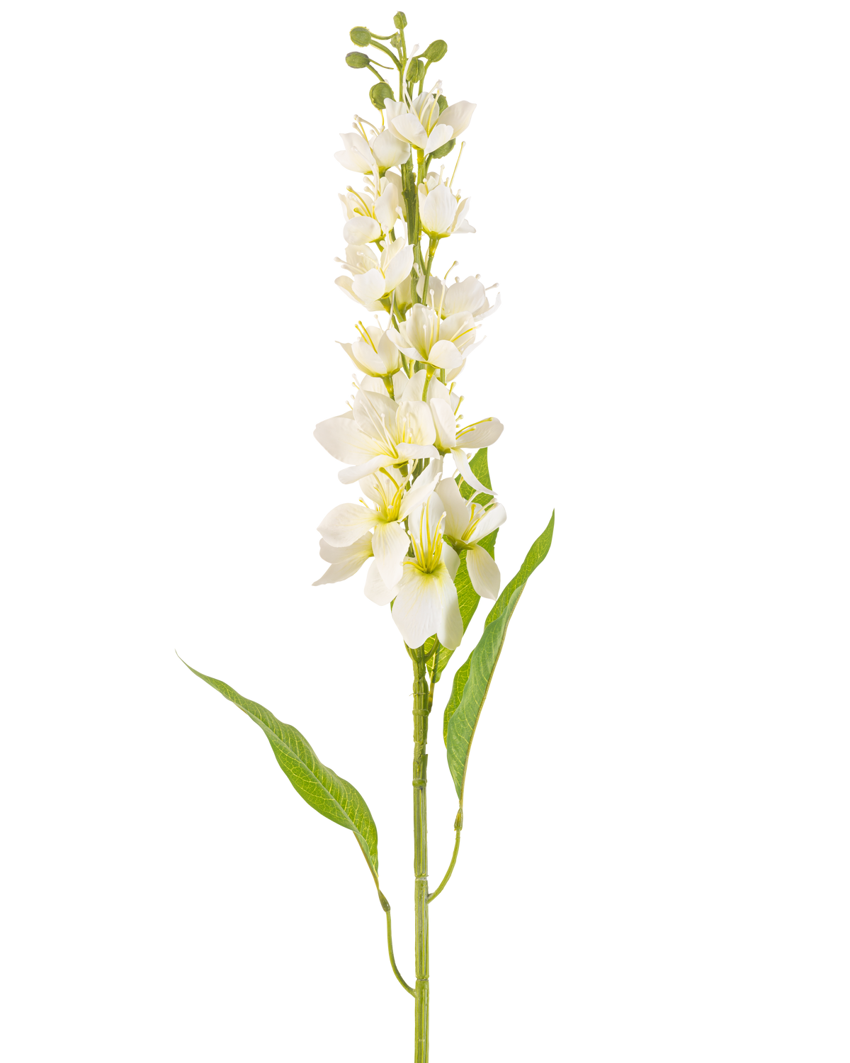 Die Kunstblume Asiatischer Apfel 84 cm creme hat einen langen Stiel mit mehreren zarten cremefarbenen Blüten und langen, schmalen grünen Blättern vor einem schlichten weißen Hintergrund.