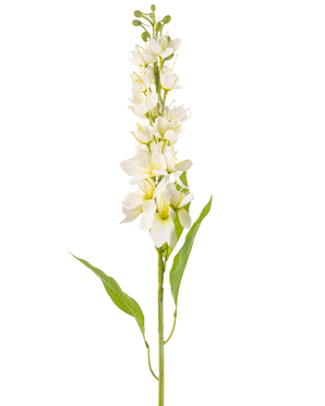 Die Kunstblume Asiatischer Apfel 84 cm creme hat einen langen Stiel mit mehreren zarten cremefarbenen Blüten und langen, schmalen grünen Blättern vor einem schlichten weißen Hintergrund.
