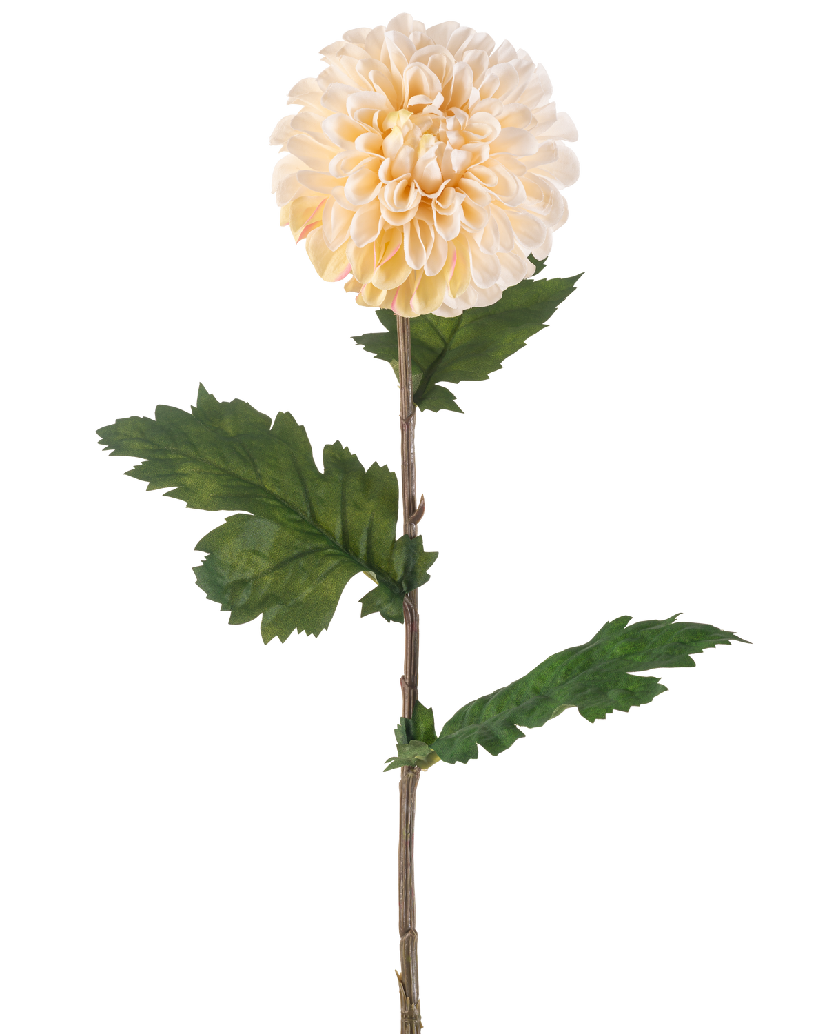 Die künstliche Blumen-Dahlie 75 cm creme hat einen einzelnen Stiel mit einer großen, runden cremefarbenen Dahlienblüte und mehreren grünen, gezackten Blättern auf weißem Hintergrund.