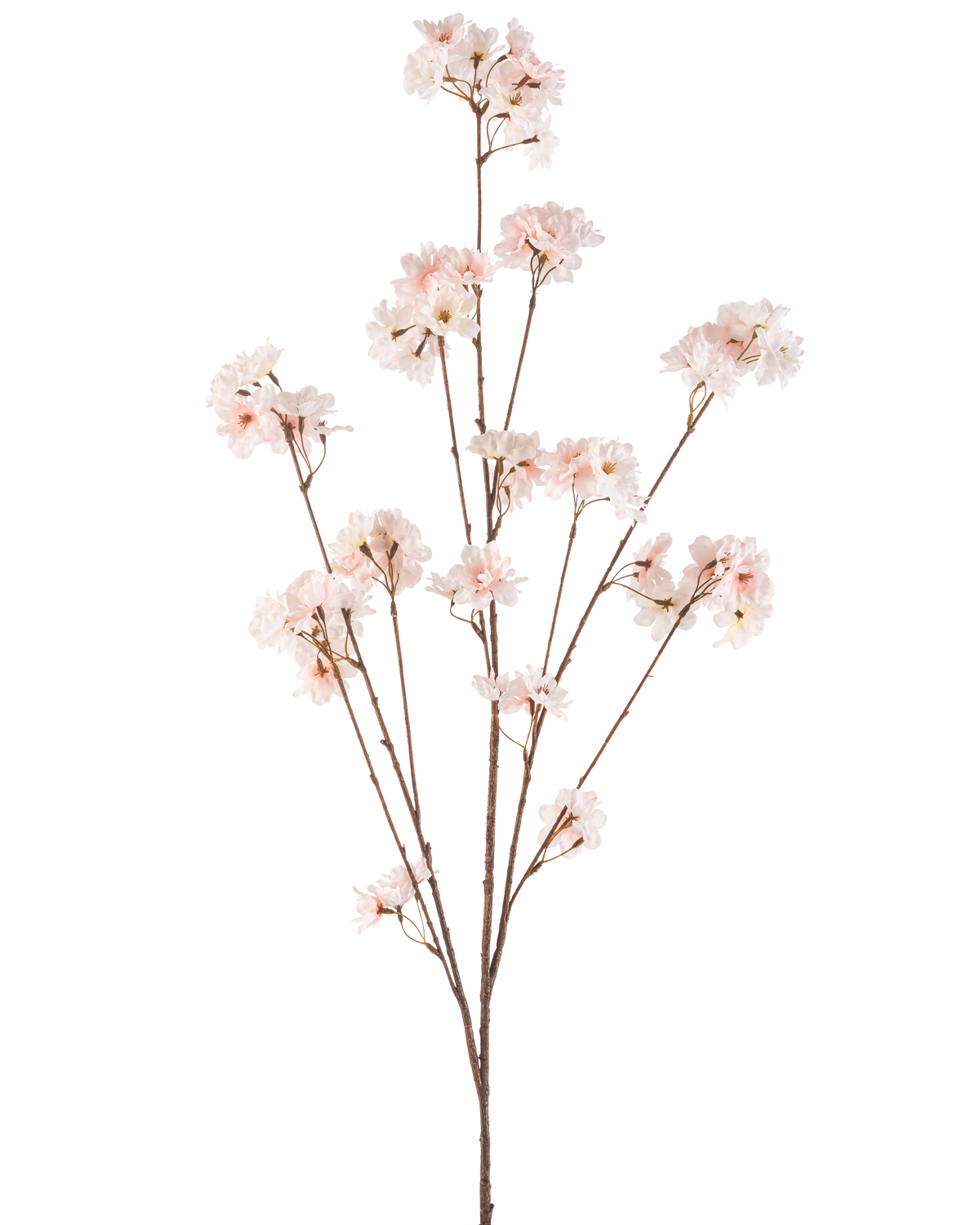 Die künstliche Blume Kirschblüte 130 cm in Rouge hat mehrere dünne Stiele mit Büscheln zarter, hellrosa Kirschblüten vor einem schlichten weißen Hintergrund.