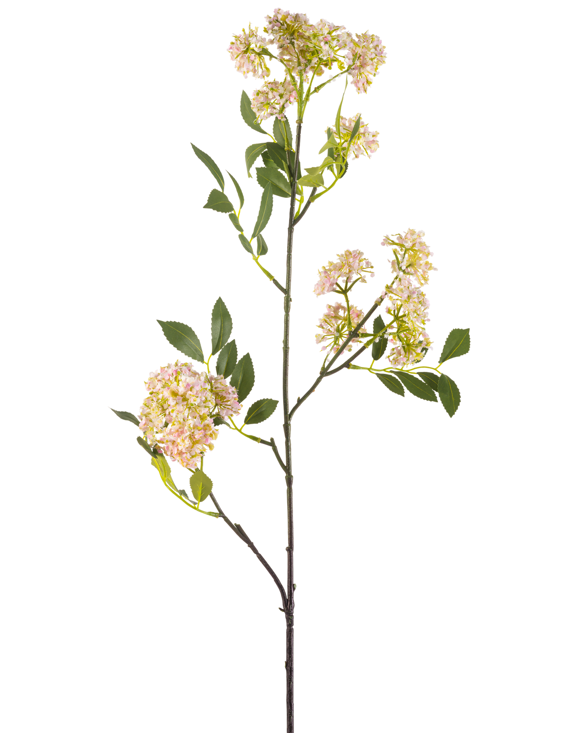 Die künstliche Blume Wildkarotte 102 cm lila hat einen langen, schlanken Stiel mit Büscheln kleiner lila Blüten und grünen Blättern, isoliert auf weißem Hintergrund.