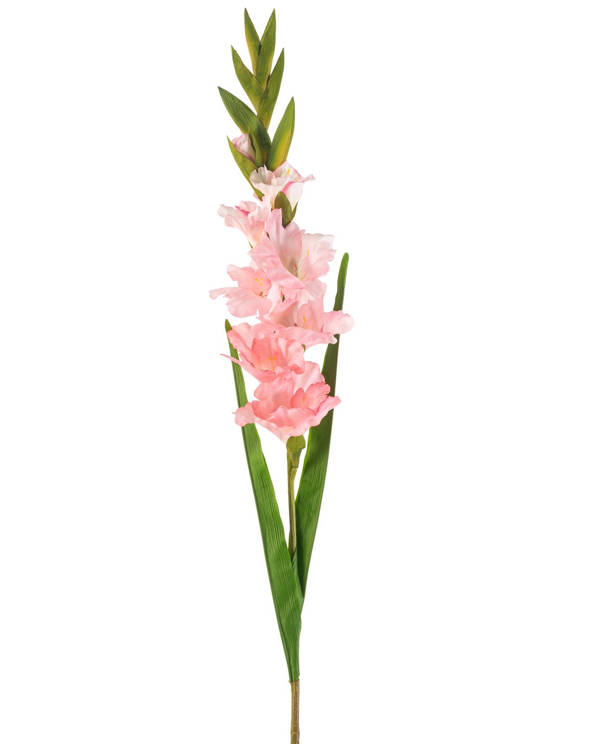 Die künstliche Gladiole 93 cm rosa hat einen einzelnen Stiel mit mehreren zartrosa Blüten und langen grünen Blättern, dargestellt vor einem weißen Hintergrund.