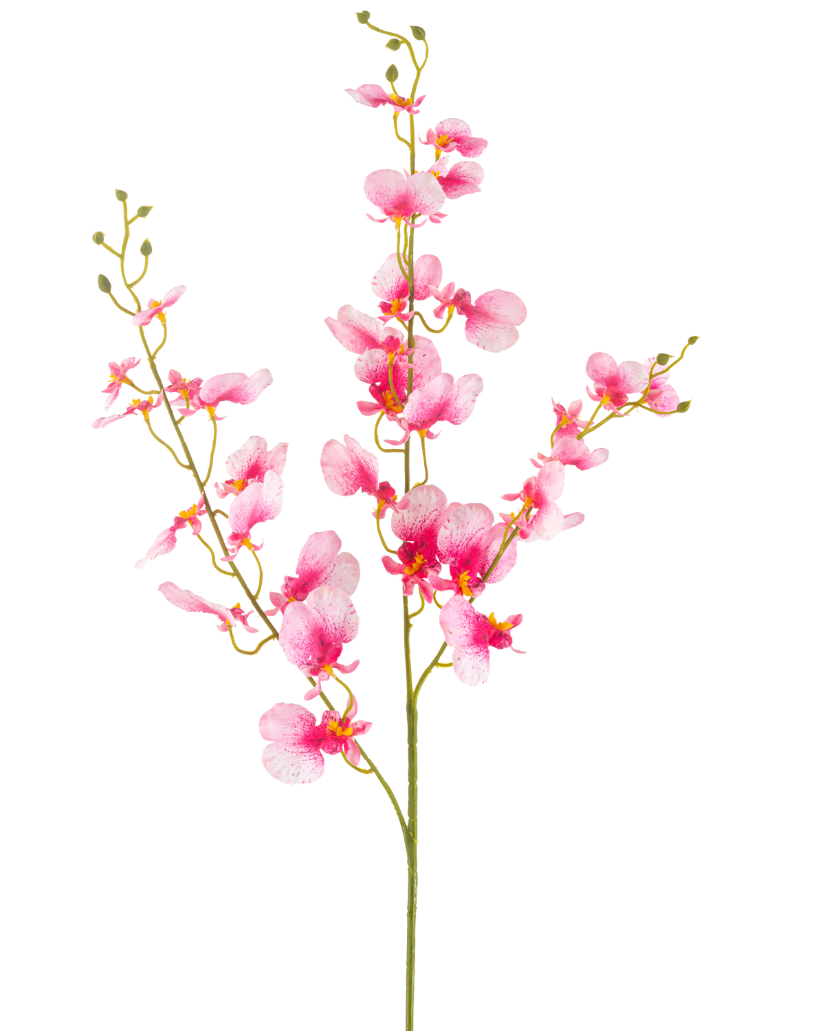 Die künstliche Blumenorchidee 98 cm rosa hat einen einzelnen Stiel mit mehreren Zweigen leuchtend rosa Orchideenblüten, zarten Blütenblättern und grünen Knospen vor einem schlichten weißen Hintergrund.