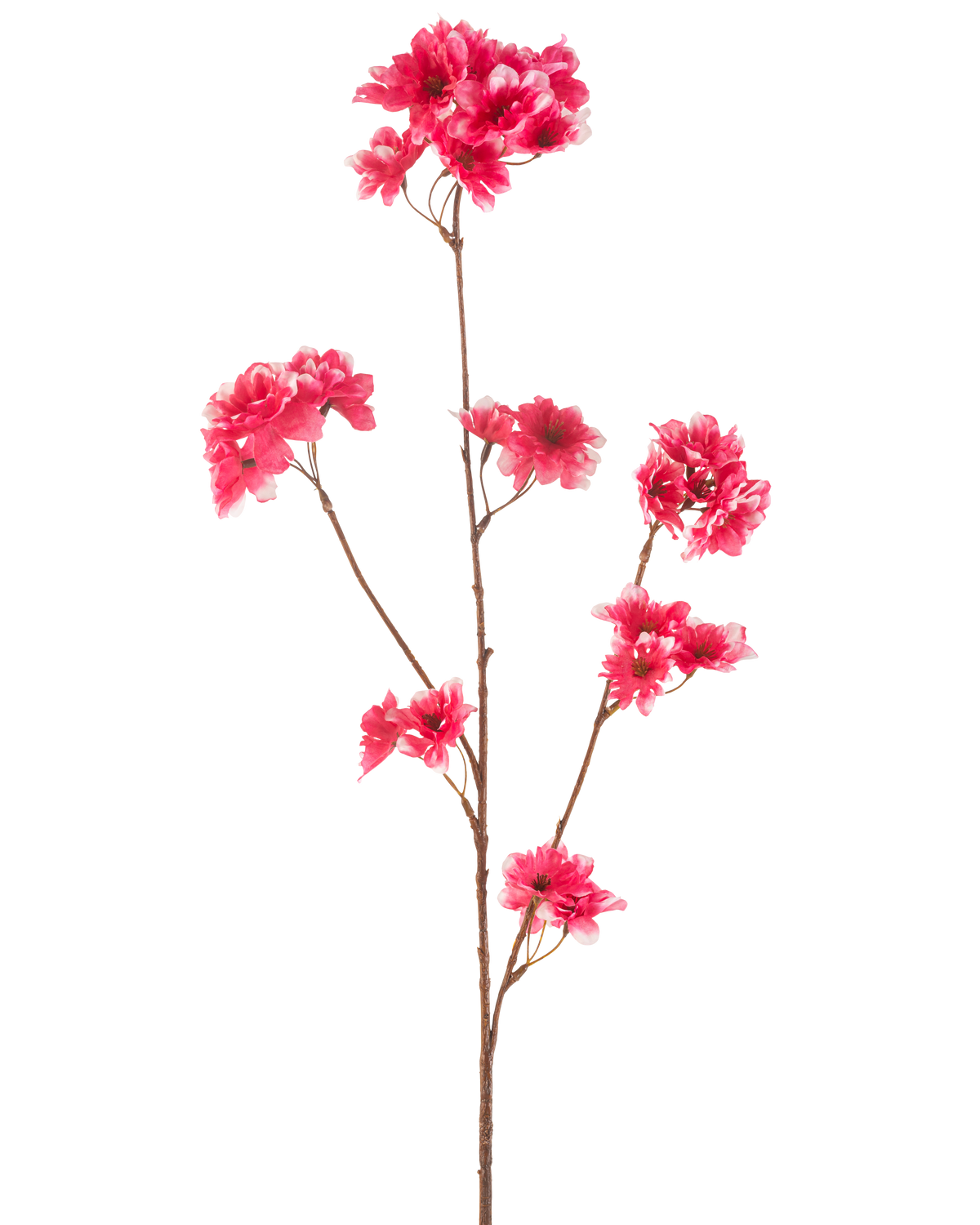 Die künstliche Blume Kirschblüte 85 cm in Fuchsia hat einen einzelnen braunen Stiel mit mehreren Zweigen, die jeweils mit Büscheln leuchtend fuchsiafarbener künstlicher Kirschblüten vor einem schlichten weißen Hintergrund verziert sind.
