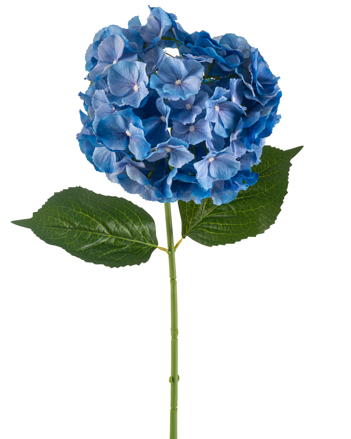 Die künstliche Blumenhortensie 75 cm blau hat einen einzelnen blauen Hortensienstiel mit einer runden Blütenbüschel und zwei großen grünen Blättern auf einem schlichten weißen Hintergrund.