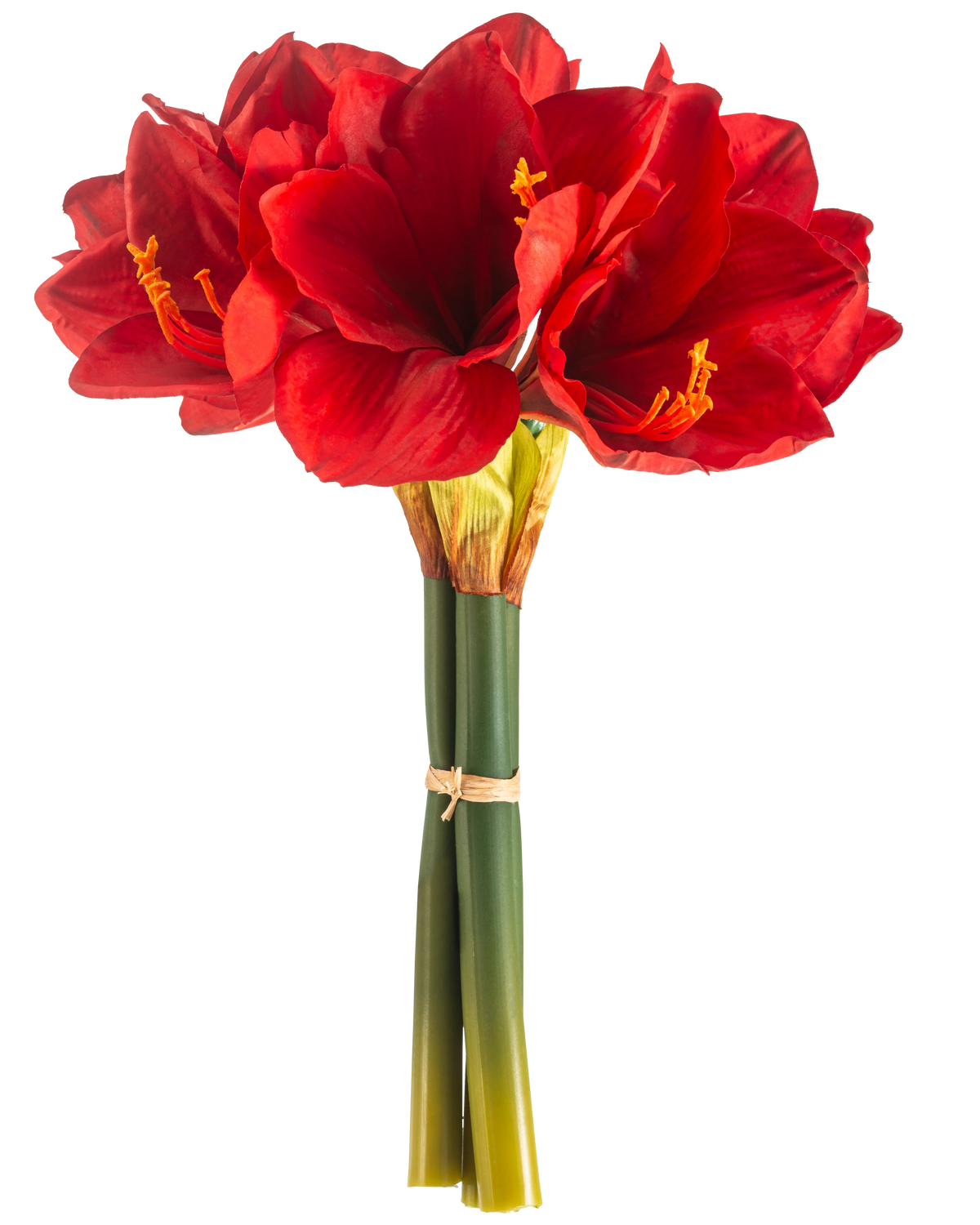 Die Kunstblume Amaryllis Real Touch rot 36 cm hat leuchtend rote Amaryllisblüten mit grünen Stielen, die mit einem Gummiband zusammengebunden sind, vor einem schlichten weißen Hintergrund.