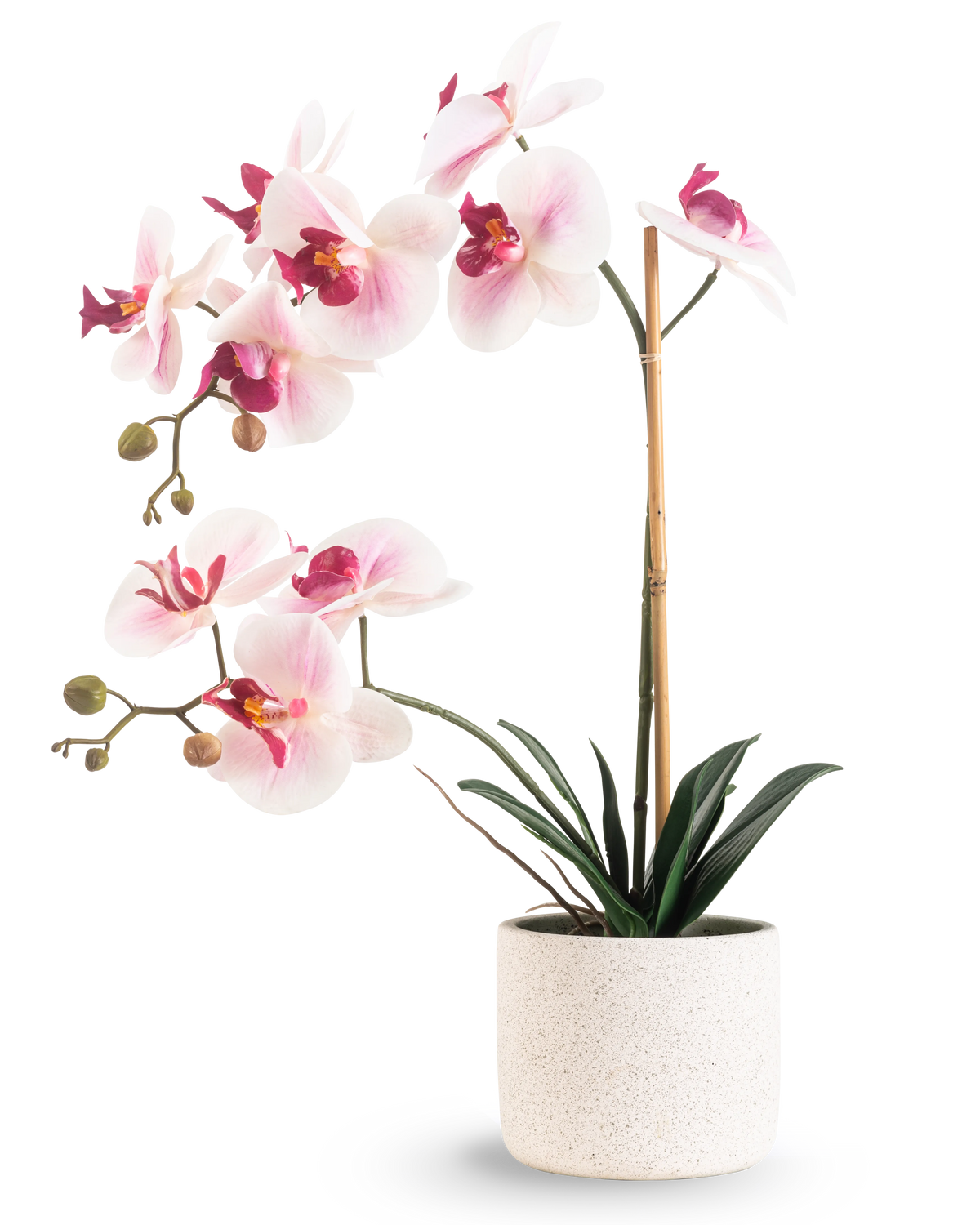 Die künstliche Orchidee Real Touch 60 cm rosa/weiß hat hellrosa und weiße Blüten mit dunkelgrünen Blättern, die von einem Bambusstab getragen werden, vor einem schlichten weißen Hintergrund.