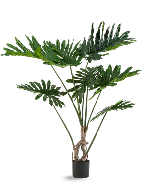 Die Kunstpflanze Philodendron 120 cm hat große, glänzende, tief eingeschnittene grüne Blätter und mehrere lange Stiele mit gedrehtem Stamm, vor einem schlichten weißen Hintergrund.
